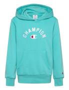 Hooded Sweatshirt Blue Champion