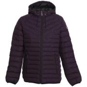 Women's Austin Jacket Wine