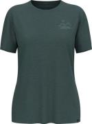 Odlo Women's Ascent Sun Sea Mountains T-Shirt Dark Slate Melange