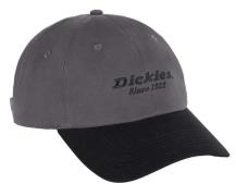 Dickies Men's Twill Dad Hat Graphite