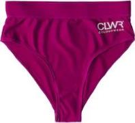 ColourWear Women's High Waist Bikini Bottom Purple