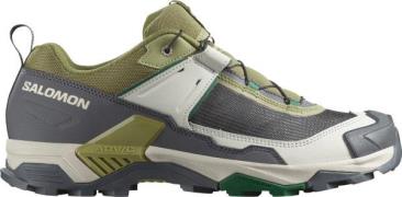 Salomon Men's X Ultra 5 Aloe/asphalt/eden