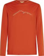 Icebreaker Men's Merino 150 Tech Lite Long Sleeve Tee Rainer Ridge Aga...