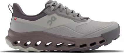 On Women’s Cloudhorizon 2 Fade/Heron