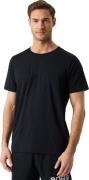 Björn Borg Men's Borg Feather T-Shirt Black Beauty