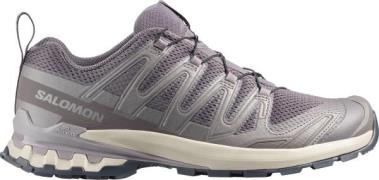 Salomon Men's XA Pro 3D V9 Dark Gull Gray/Cloudburst/Asphalt