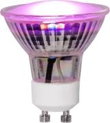 LED-lampa GU10 MR16 Plant Light (Rosa)
