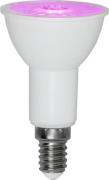 E14 LED 3,5W Växtlampa (Vit)