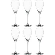 Spiegelau Special Party Champagneglas 16 cl, 6-pack