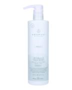 Paul Mitchell Awapuhi Wild Ginger Intensive Treatment 500 ml