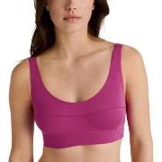 Calida BH Elastic Top Chock Rosa bomull Small Dam