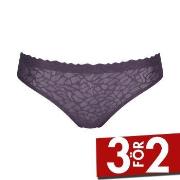 Sloggi Trosor ZERO Feel Lace 2.0 Brazil Panty Mörklila Small Dam