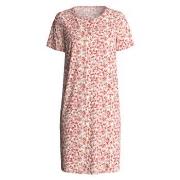 Calida Flower Nights Short Sleeve Sleepshirt Laxrosa bomull Small Dam