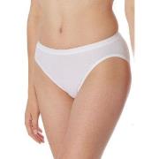 Schiesser Trosor Luxury Rio Briefs Vit bomull 38 Dam