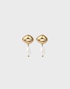 Muli Collection - Guld - Pearl Earring