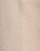 Nelly - Beige - Satin Shirt Blouse