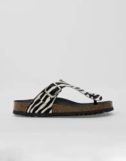 Scholl - Multi/Mönstrad - Anais Animal