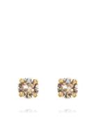 Classic Stud Earring Gold Accessories Jewellery Earrings Studs Gold Ca...