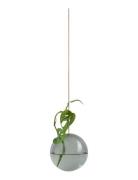 Hanging Flower Bubble Home Decoration Vases Nude Studio About