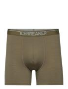 Men Anatomica Boxers Boxerkalsonger Green Icebreaker