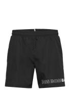 Dolphin Badshorts Black BOSS