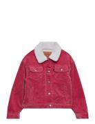 Levi's® Baggy Corduroy Trucker Jacket Bomberjacka Pink Levi's