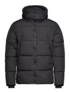 Casual Friday Cfwilson 0085 Short Puffer Jacket Svart