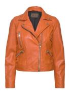 Kaley Leather Biker Läderjacka Skinnjacka Orange Jofama