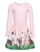 Casie Dresses & Skirts Dresses Casual Dresses Long-sleeved Casual Dres...