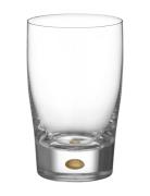 Intermezzo Tumbler Home Tableware Glass Drinking Glass Nude Orrefors