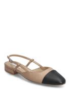 Steve Madden Belinda Ballerina Brun