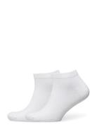 Foottie 2-Pack Ankelstrumpor Korta Strumpor White Dovre