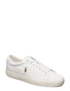 Longwood Leather Sneaker Låga Sneakers White Polo Ralph Lauren