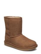 #K Classic Ii Vinterstövlar Pull On Brown UGG