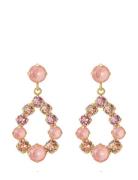 Mini Delia Earrings Örhänge Smycken Pink Caroline Svedbom