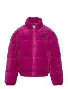 Juicy Velour Puffa Fodrad Jacka Purple Juicy Couture