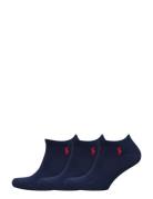Low-Cut Sock 3-Pack Ankelstrumpor Korta Strumpor Blue Polo Ralph Laure...