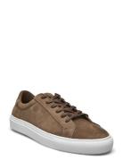 Classic Sneaker -Grained Leather Låga Sneakers Brown S.T. VALENTIN