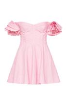 Sigma Mini Dress Kort Klänning Pink Bardot