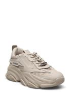 Possession-E Sneaker Låga Sneakers Beige Steve Madden