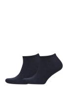 Th Women Sneaker 2P Lingerie Socks Footies-ankle Socks Blue Tommy Hilf...