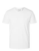 Slhnewpima Ss O-Neck Tee B Tops T-shirts Short-sleeved White Selected ...