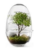 Grow Greenhouse Large Home Decoration Vases Big Vases Nude Design Hous...