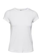 16 The Modal Tee Tops T-shirts & Tops Short-sleeved White My Essential...