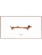 Doug The Dachshund - 30X40 Home Kids Decor Posters & Frames Posters Mu...