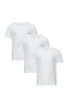 Claudio Claudio Boys 3-Pack T-Shirt Vit