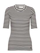 InWear Dagnaiw Striped T-Shirt Multi/patterned