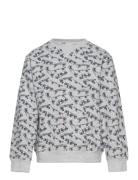 Sejer Tops Sweat-shirts & Hoodies Sweat-shirts Grey Hust & Claire