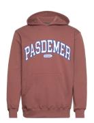 Pasdemer Design Hoody Designers Sweat-shirts & Hoodies Hoodies Brown P...
