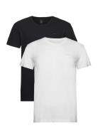 GANT C-Neck T-Shirt 2-Pack Multi/patterned